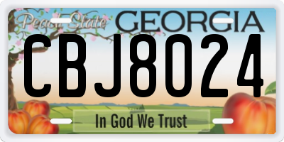 GA license plate CBJ8024