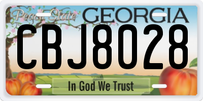 GA license plate CBJ8028