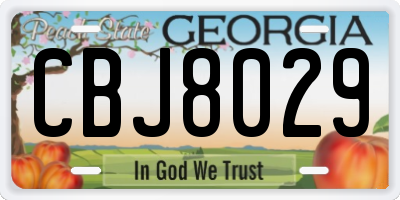 GA license plate CBJ8029
