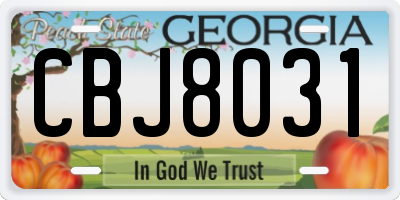 GA license plate CBJ8031