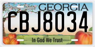 GA license plate CBJ8034