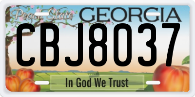 GA license plate CBJ8037
