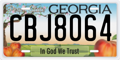 GA license plate CBJ8064