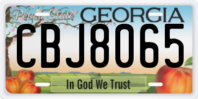 GA license plate CBJ8065
