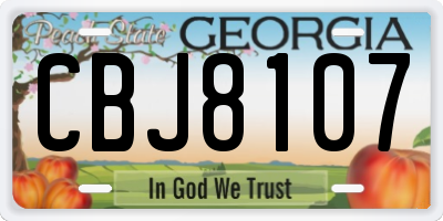 GA license plate CBJ8107