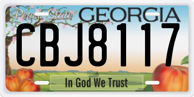 GA license plate CBJ8117