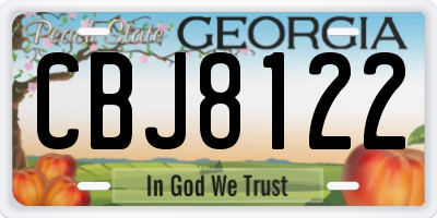 GA license plate CBJ8122