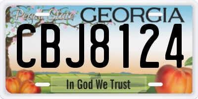 GA license plate CBJ8124