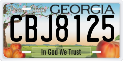 GA license plate CBJ8125