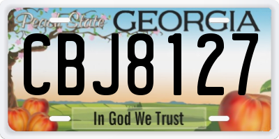 GA license plate CBJ8127