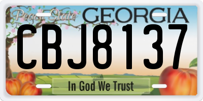 GA license plate CBJ8137