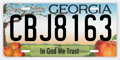GA license plate CBJ8163