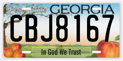 GA license plate CBJ8167