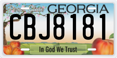 GA license plate CBJ8181