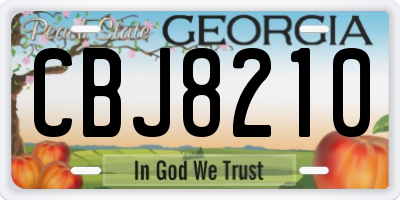 GA license plate CBJ8210