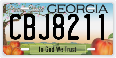 GA license plate CBJ8211