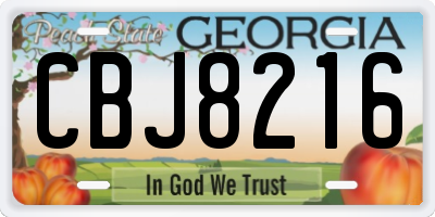 GA license plate CBJ8216