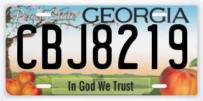 GA license plate CBJ8219