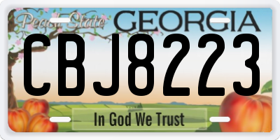 GA license plate CBJ8223