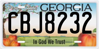 GA license plate CBJ8232