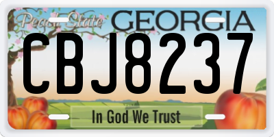 GA license plate CBJ8237