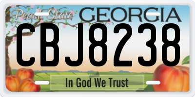 GA license plate CBJ8238