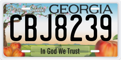 GA license plate CBJ8239