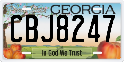 GA license plate CBJ8247