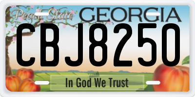 GA license plate CBJ8250