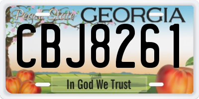 GA license plate CBJ8261