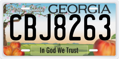 GA license plate CBJ8263