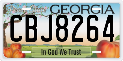 GA license plate CBJ8264