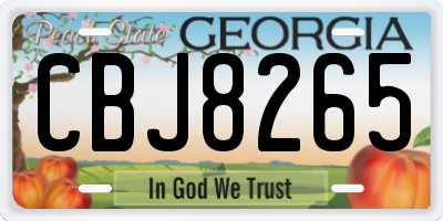GA license plate CBJ8265