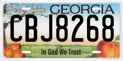 GA license plate CBJ8268