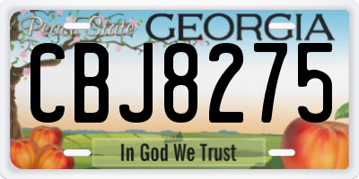 GA license plate CBJ8275