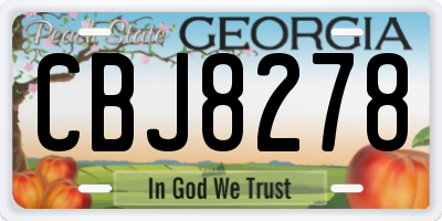 GA license plate CBJ8278