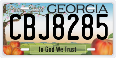 GA license plate CBJ8285