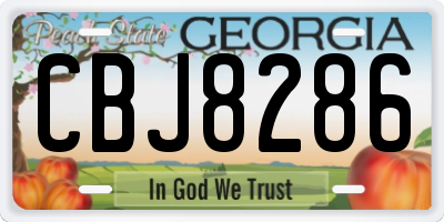 GA license plate CBJ8286
