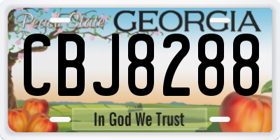 GA license plate CBJ8288
