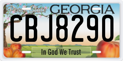 GA license plate CBJ8290