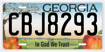 GA license plate CBJ8293