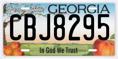 GA license plate CBJ8295