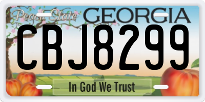 GA license plate CBJ8299