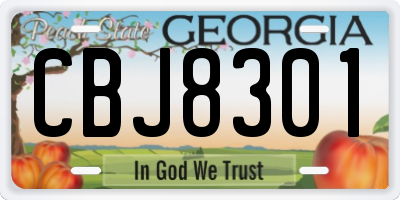 GA license plate CBJ8301