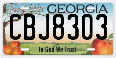 GA license plate CBJ8303