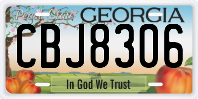 GA license plate CBJ8306