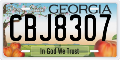 GA license plate CBJ8307
