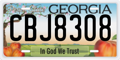 GA license plate CBJ8308