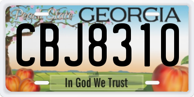 GA license plate CBJ8310