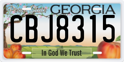 GA license plate CBJ8315